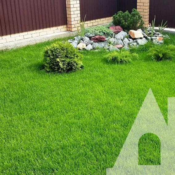 Газон ландшафтний Eurograss