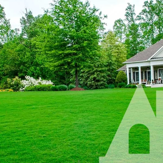 Газон посухостійкий EG DIY Summer Lawn