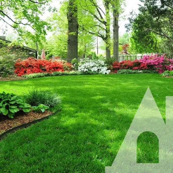 Газон повільновідростаючий Eurograss