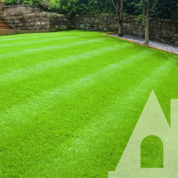 Газон універсальний Eurograss