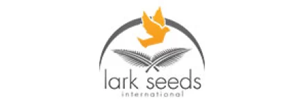 Lark seeds, USA