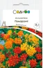 Садиба