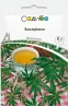 Садиба