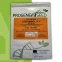 Progene Seed