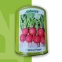 Satimex