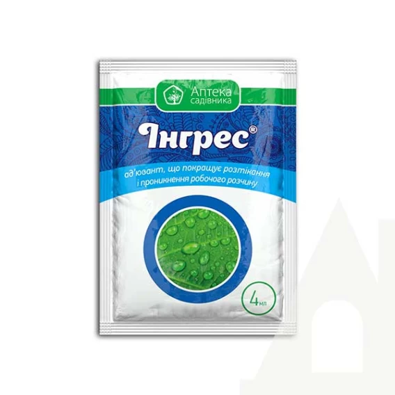 Інгрес
